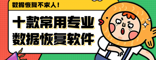 十款常用的专业数据恢复软件推荐：2026年一文吃透数据恢复软件