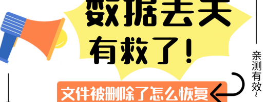 权威认证❗ 2026年这个文件恢复法才是真有用！工程师团队实测推荐！