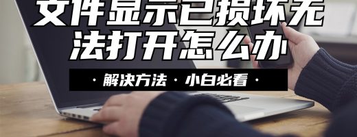 文件显示已损坏无法打开？找准原因，5种方案修复损坏文件
